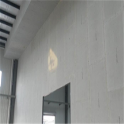 滕头宁波ALC板|EPS加气板隔墙与混凝土整浇联接的实验研讨